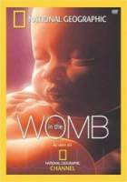 Жизнь до рождения: В утробе матери / In the womb 2007