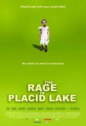 Неисправимый оптимист / The Rage in Placid Lake 2003