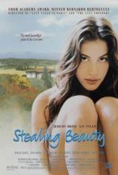 Ускользающая красота / Stealing Beauty 1996