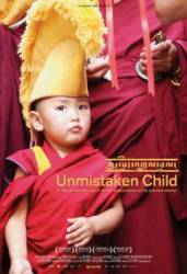 Избранный / Unmistaken Child 2008