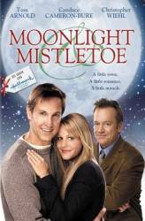 Спасти сказку / Moonlight and Mistletoe 2008