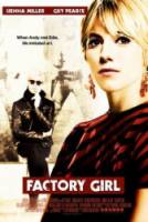 Я соблазнила Энди Уорхола / Factory Girl 2006