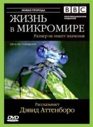 BBC: Жизнь в микромире / Life in the Undergrowth 2005