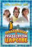 Приключения в Тридесятом царстве  2010