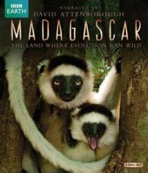 Мадагаскар / BBC: Madagascar 2011