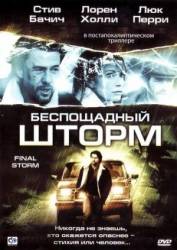 Беспощадный шторм / Final Storm 2010