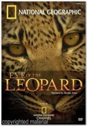 Глаз леопарда / Eye of the Leopard 2006