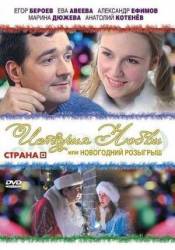 История любви или новогодний розыгрыш  2009