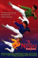 3 ниндзя наносят ответный удар / 3 Ninjas Kick Back 1993