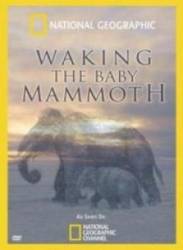 Пробуждение мамонтёнка / Waking The Baby Mammoth 2009