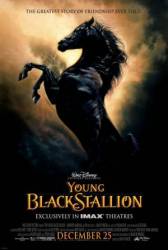 Рожденный в песках / The Young Black Stallion 2003