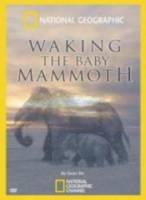 Пробуждение мамонтёнка / Waking The Baby Mammoth 2009