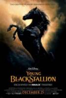 Рожденный в песках / The Young Black Stallion 2003