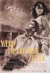 Летят журавли  1957