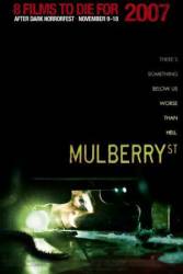 Улица Малберри / Mulberry Street 2006