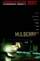 Улица Малберри / Mulberry Street 2006