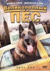 Великолепный пес / Cool Dog 2010
