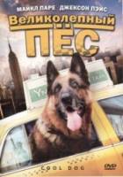 Великолепный пес / Cool Dog 2010