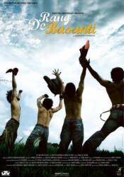 Цвет шафрана / Rang De Basanti 2006