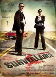 Наблюдение / Surveillance 2008
