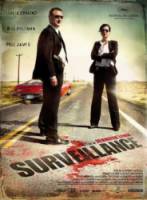 Наблюдение / Surveillance 2008