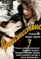 Происшествие  1974