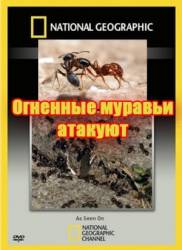 Огненные муравьи атакуют  2010