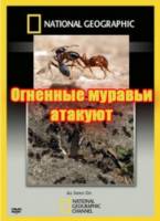 Огненные муравьи атакуют  2010