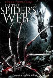 Паутина зла / In the Spider's Web 2007