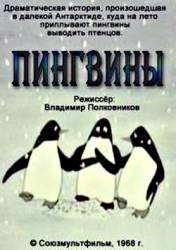 Пингвины  1968
