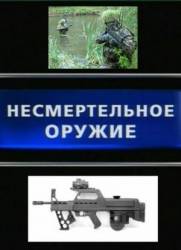 Несмертельное оружие  2010