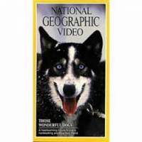 Эти удивительные собаки / The Wonderful World of Dogs 1990