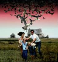 Птицы 2: На краю земли / The Birds II: Land's End 1994