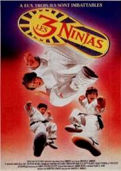 Три ниндзя: Костяшки вверх / 3 Ninjas Knuckle Up 1995