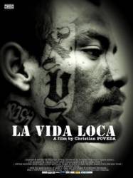 Безумная жизнь / La vida loca 2008
