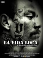 Безумная жизнь / La vida loca 2008